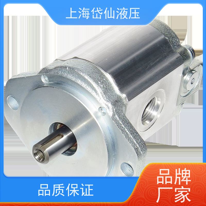 齿轮泵 WP 09A 2B-140-140-R-03-BA-121-121-N 止回阀 CVI-10-P-0-15