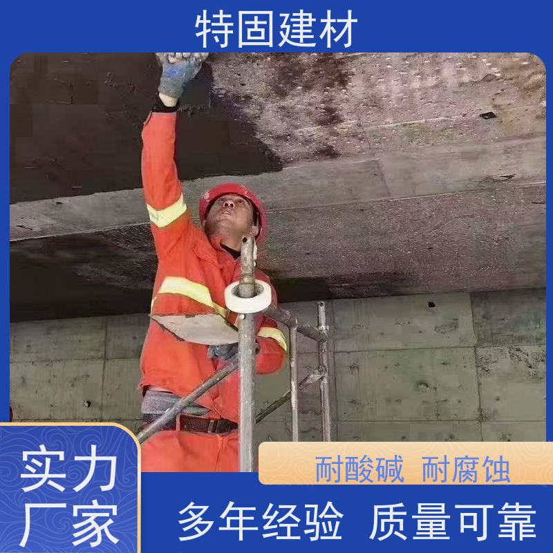 环氧树脂砂浆 适应性强 免费指导 源头工厂 特固新型建材