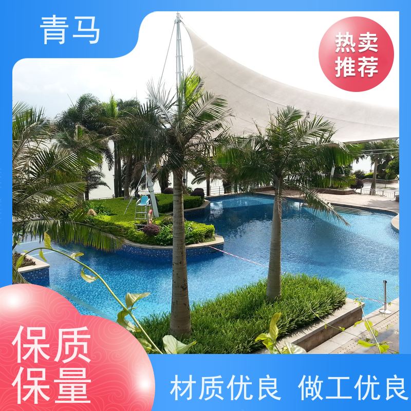 青马 私家泳池 适用于健身俱乐部 按需定制 免费测量