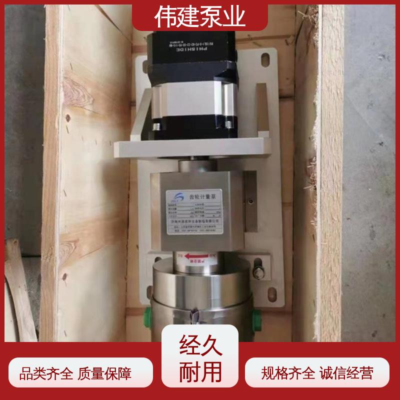 伟建生产 304/316不锈钢材质 防止拉丝或断流 灌装机转子泵 防漏设计
