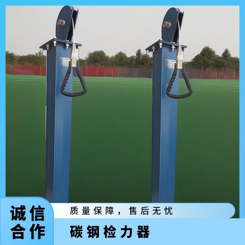 YSJ-20碳钢检力器进行耐力训练 语音不锈钢20KG拉力
