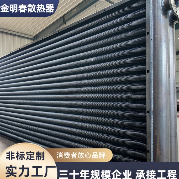 金明春 源头厂家 绕片管换热器 阻力小运行稳定 规格齐全