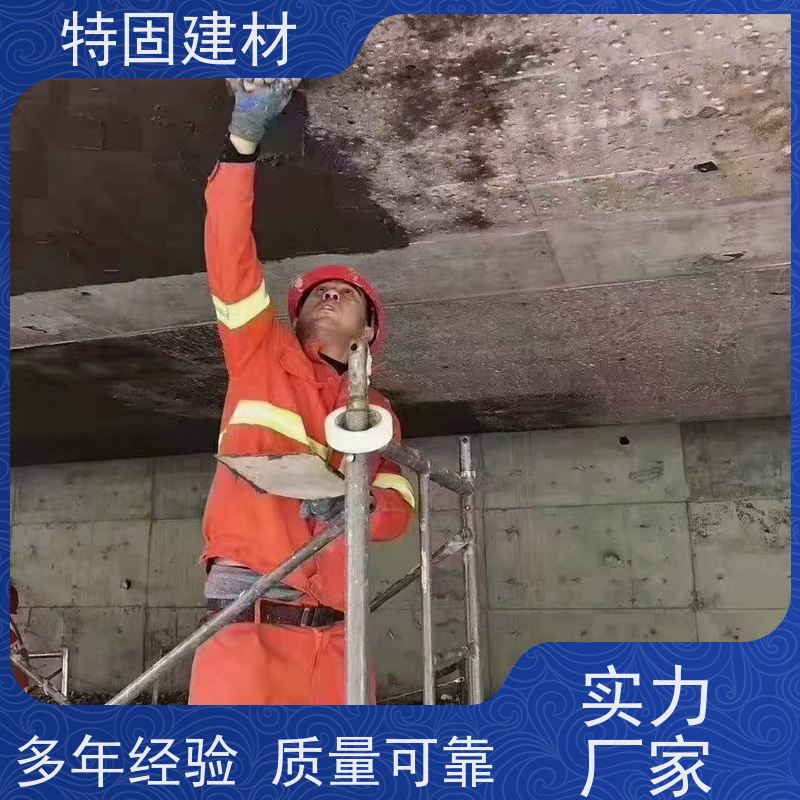 聚合物修补砂浆 高强度抗压 厂家直供 特固建材