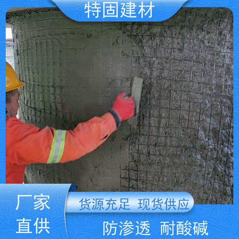 环氧树脂砂浆 墙面修补加固 规格齐全 生产厂家 特固新型建材