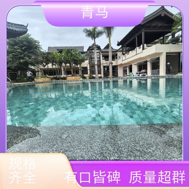 青马 学校泳池 适用于健身俱乐部 按需定制 免费测量