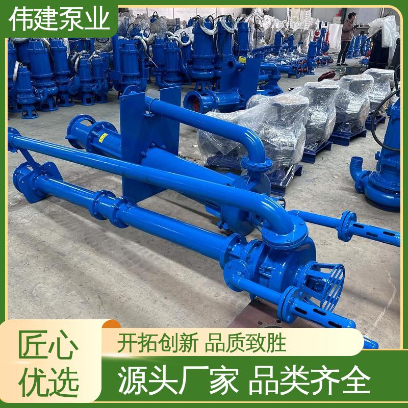 伟建供应 煤焦油稠油用 支持定制 可调式渣油泵 流量大扬程高