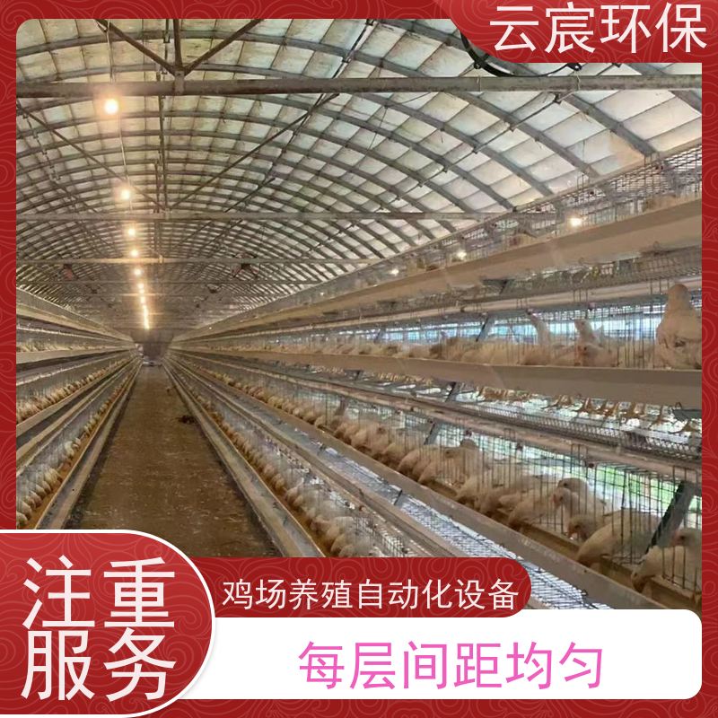 云宸环保 多层阶梯全自动鸡笼 每层间距均匀 操作简单