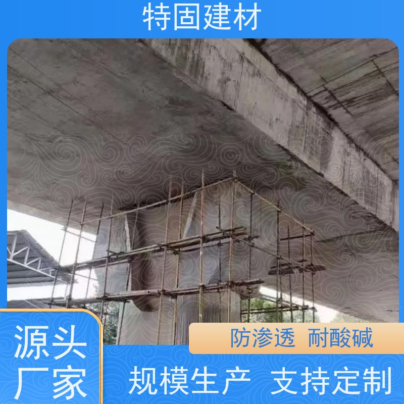 环氧树脂修补砂浆 适应性强 产地货源 常年供应 特固建材