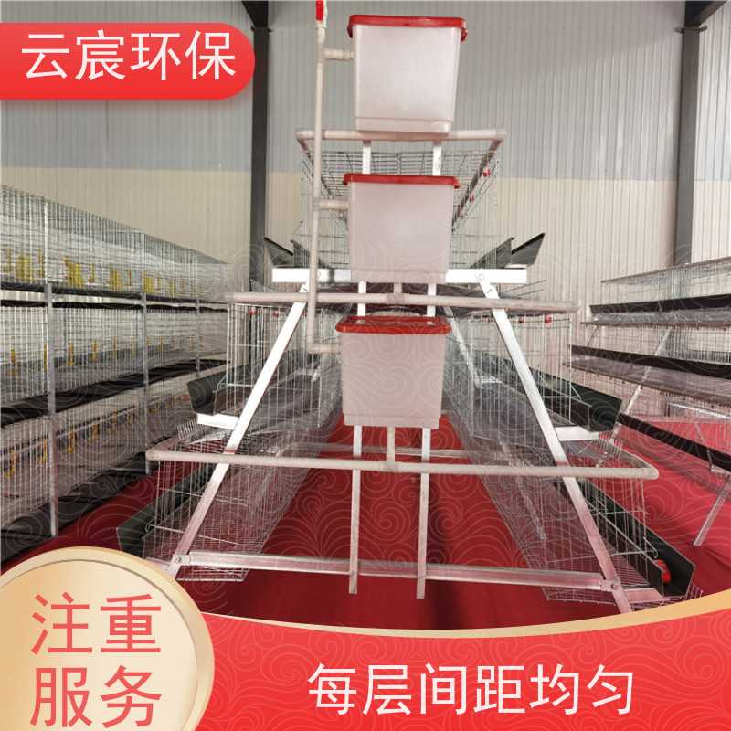 云宸环保 三层四门 阶梯式鸡笼子 层数组数可灵活定制 省时省力