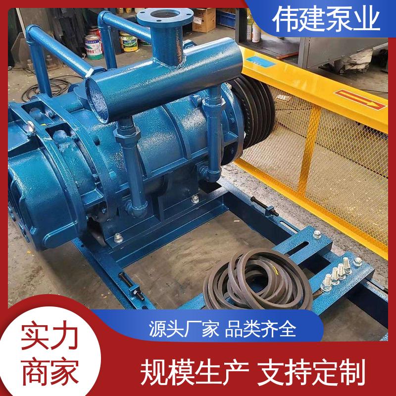 涂料油漆输送用 高粘度泵 规格齐全 运行可靠 伟建供应