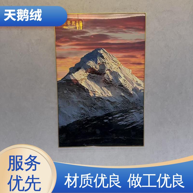 威乐森 天鹅绒艺术漆 7天 完全固化 白色 源头厂家 品类齐全