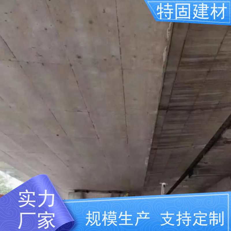 环氧树脂砂浆 防渗透耐酸碱 厂家直供 特固新型建材