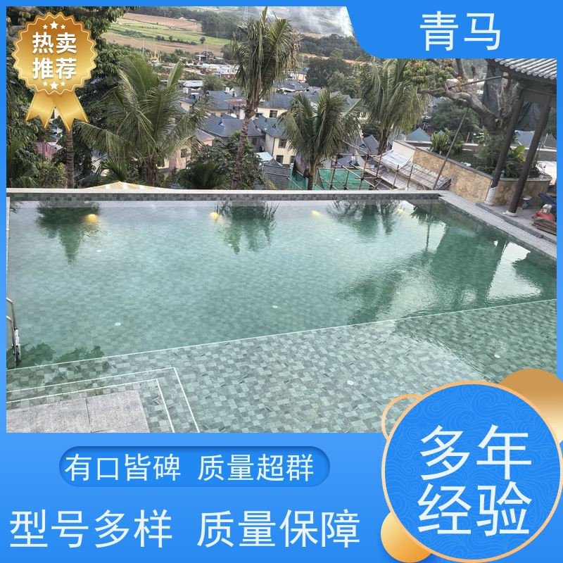 青马 成人游泳池 适用于健身俱乐部 按需定制 免费测量