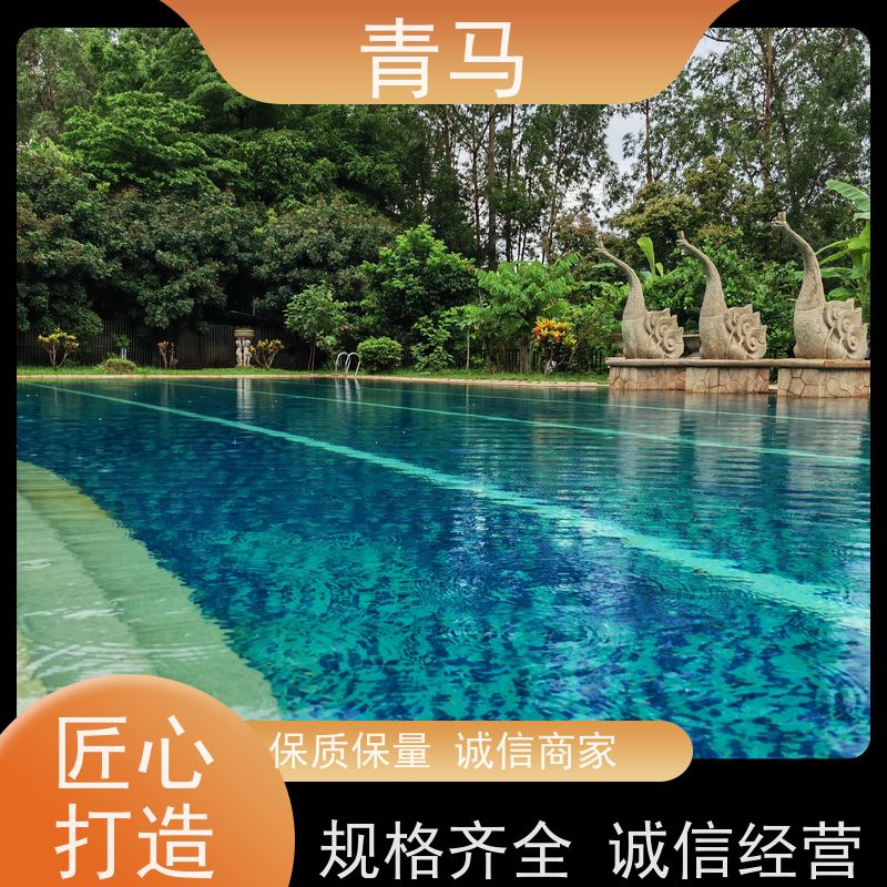 青马 户外泳池 适用于星级酒店 设计 施工 维护 一站式服务