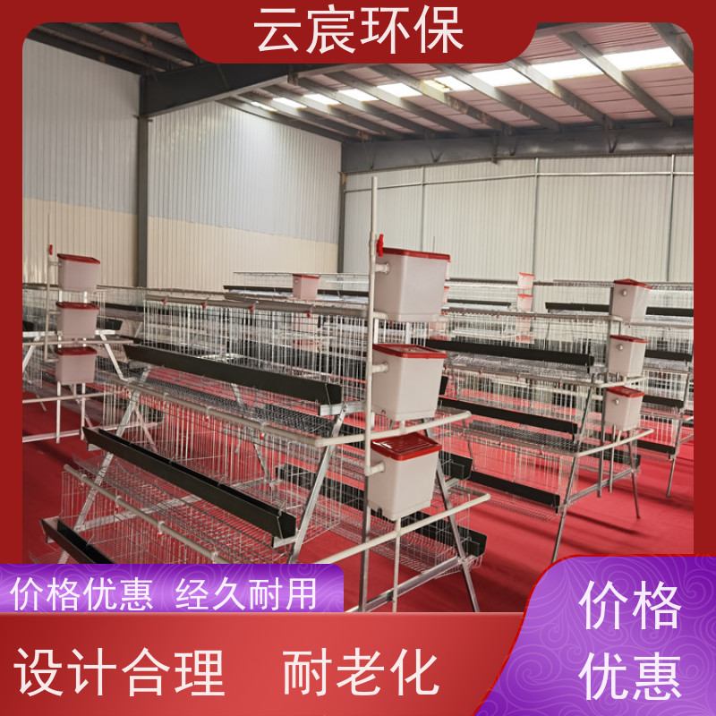 云宸环保 三层四门 阶梯蛋鸡笼子 鸡场养殖设备 设计合理