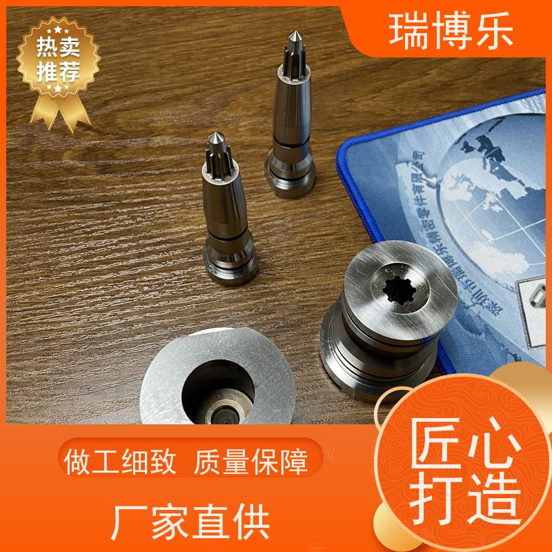 瑞博乐精密 模具镶针配件 塑胶模具镶针 表面处理