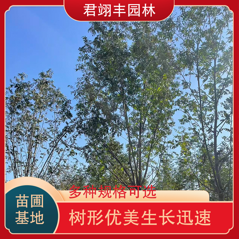 图6