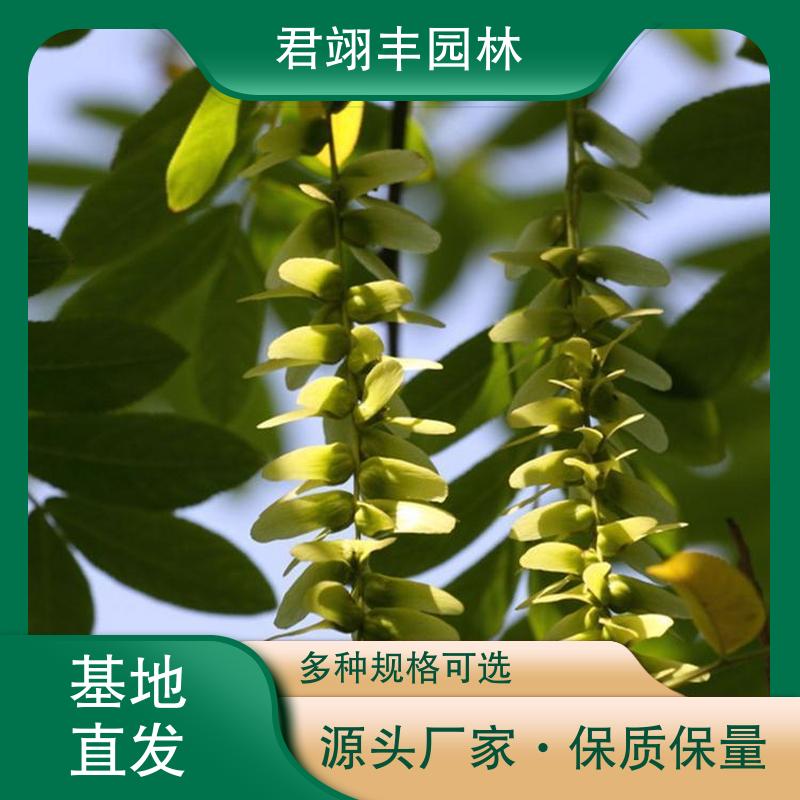 图8