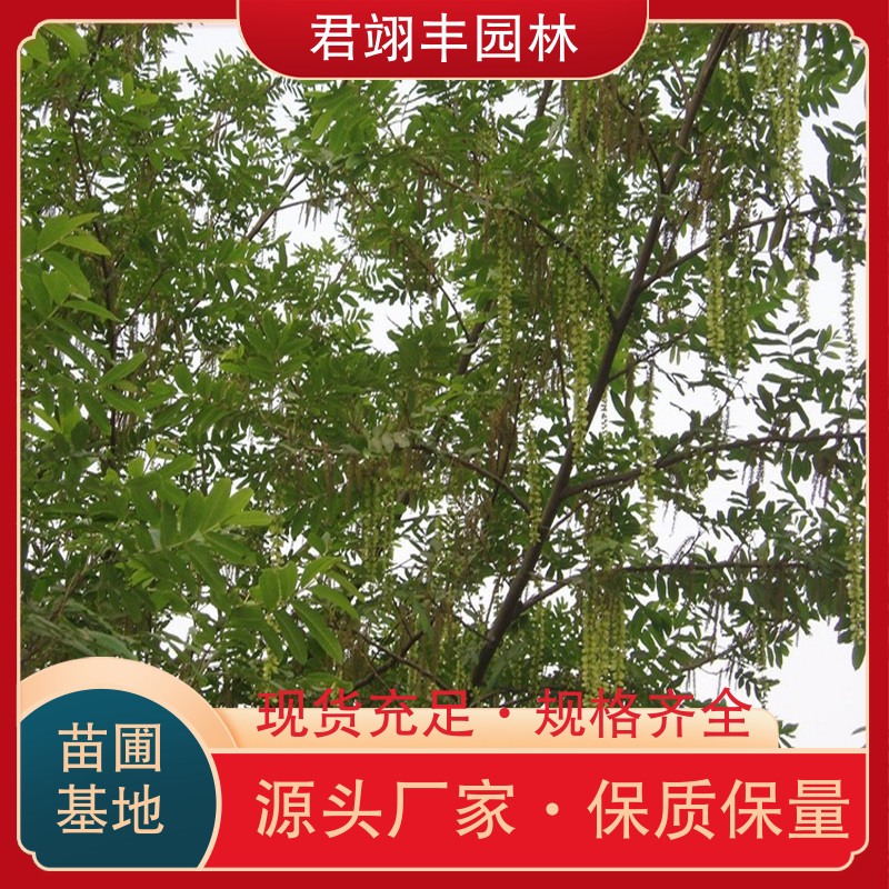 图7