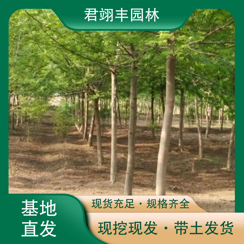 图9