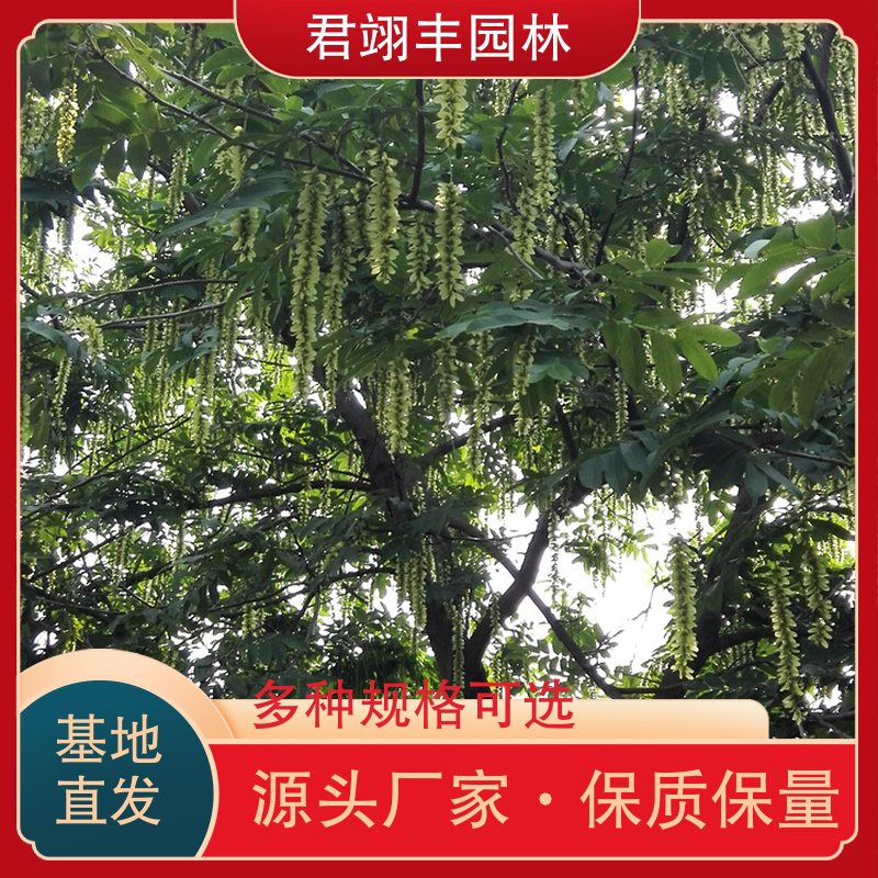 图10