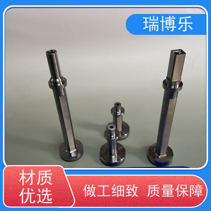 瑞博乐精密 细针模具镶针 模具镶针卡针 表面处理