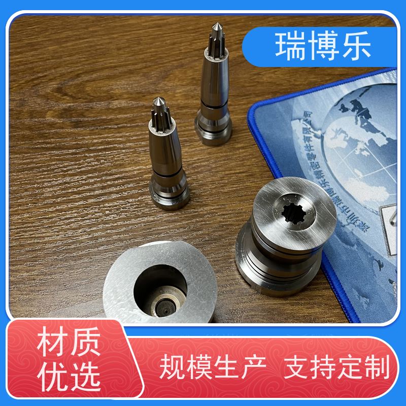 瑞博乐精密 模具细长型镶针 可做通孔 经久耐用