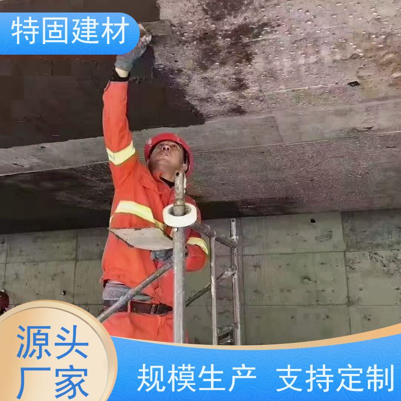 防水防腐砂浆 抗渗性强 厂家直供 特固新型建材