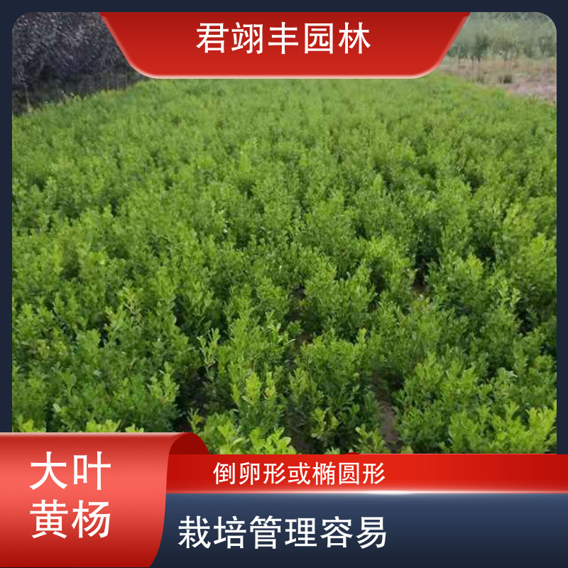 图6