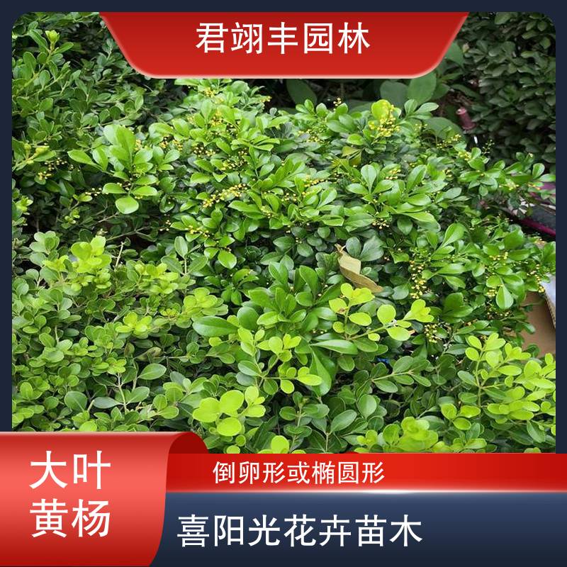 图7