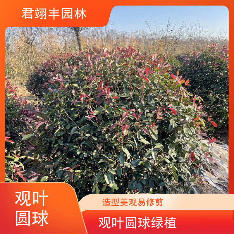 图6