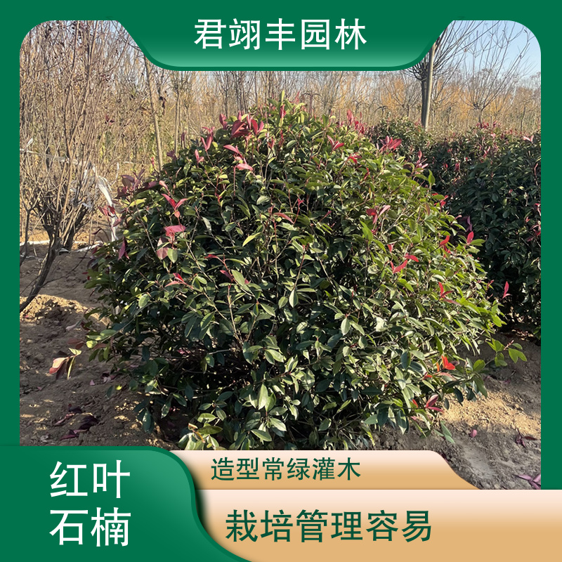 图7