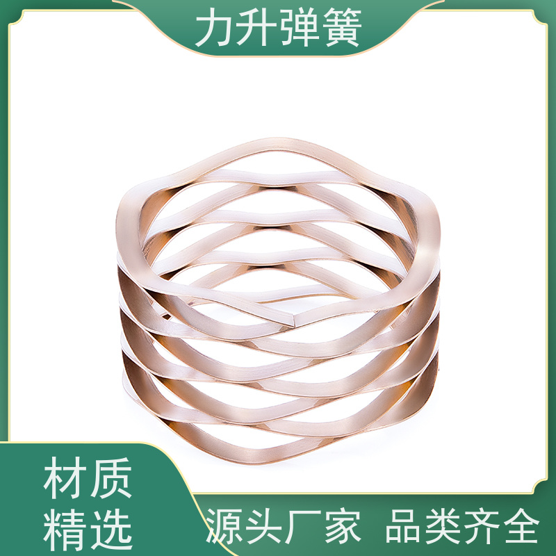 波形挡圈 严格选材 免费设计 大量库存 快速发货 力升
