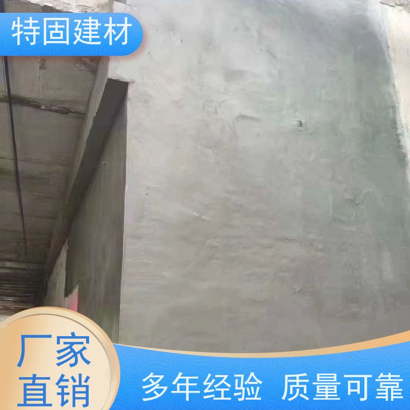 聚合物修补砂浆 高强度抗压 工厂供应 发货及时 特固建材
