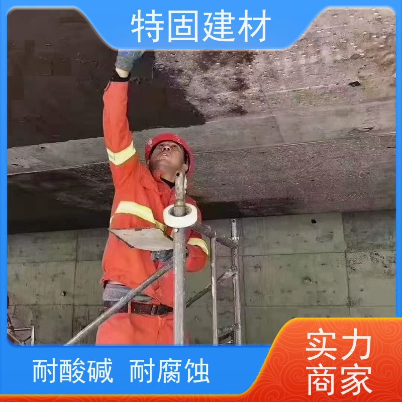 环氧树脂砂浆 耐酸碱耐腐蚀 工厂供应 发货及时 特固建材