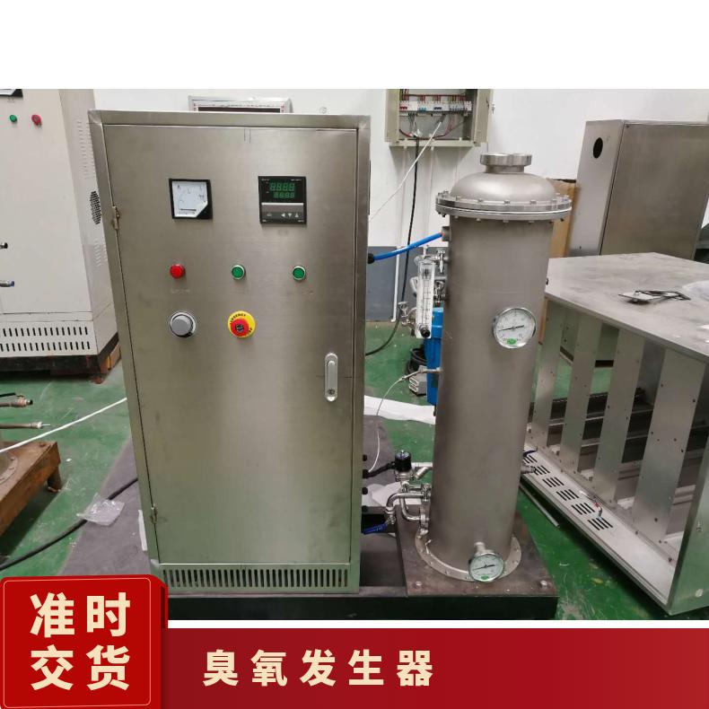 冠宇环保2kg臭氧发生器食品车间空间净化高 强 度羟基自由基上门安