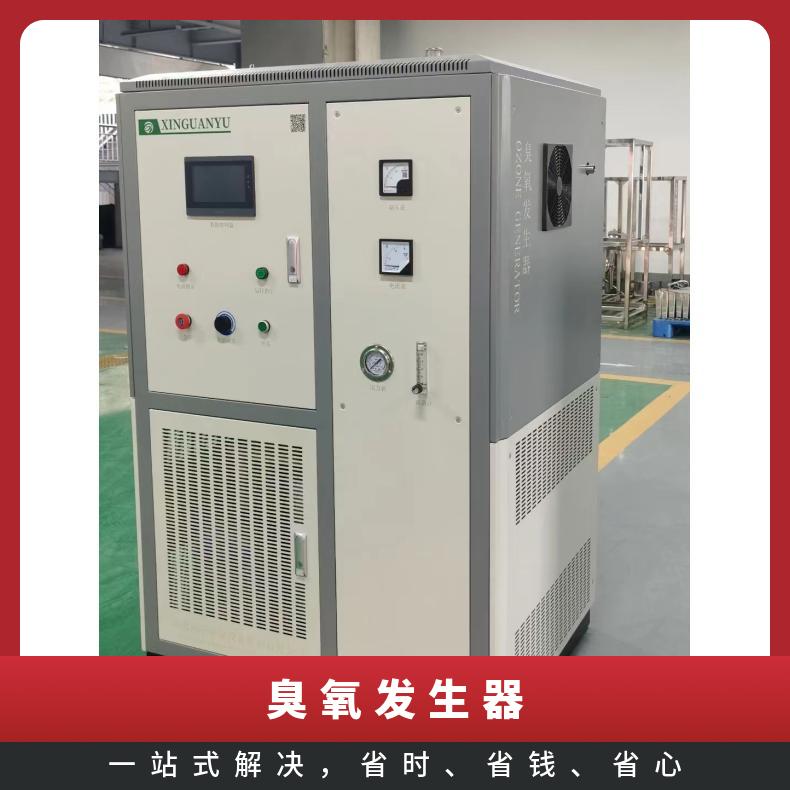冠宇环保2kg臭氧发生器食品车间空间净化高 强 度羟基自由基上门安