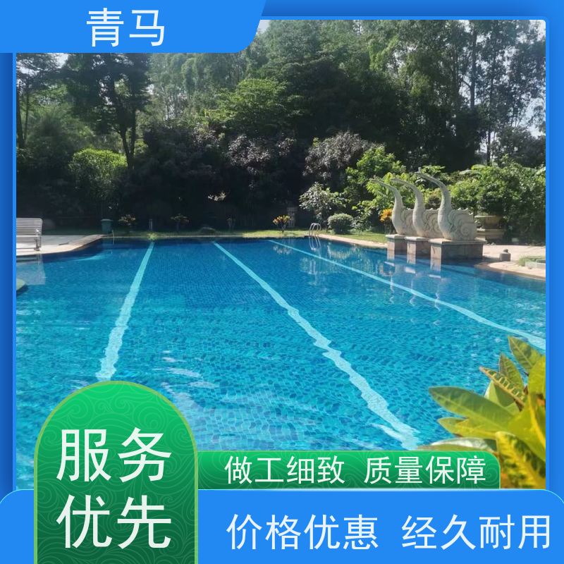 青马 休闲泳池 适用于星级酒店 设计 施工 维护 一站式服务