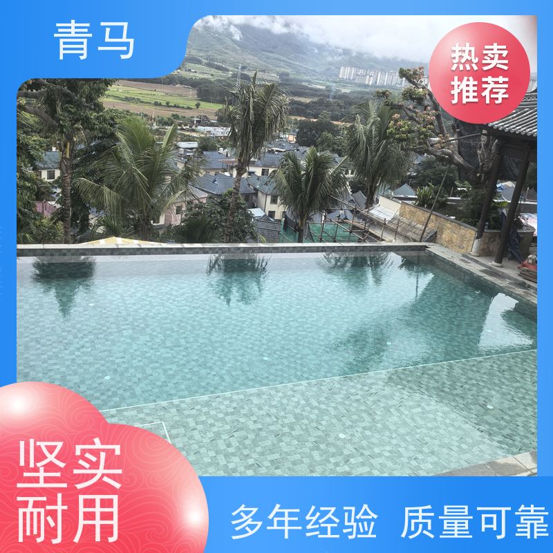 青马 私家游泳池 适用于水上乐园 现代简约 多种颜色