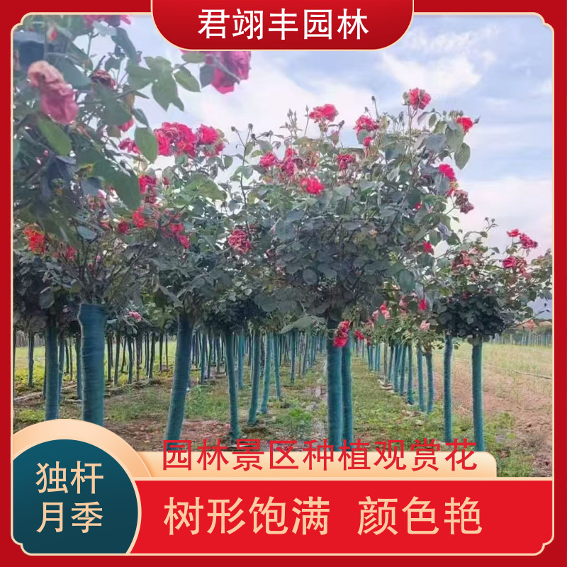 图6