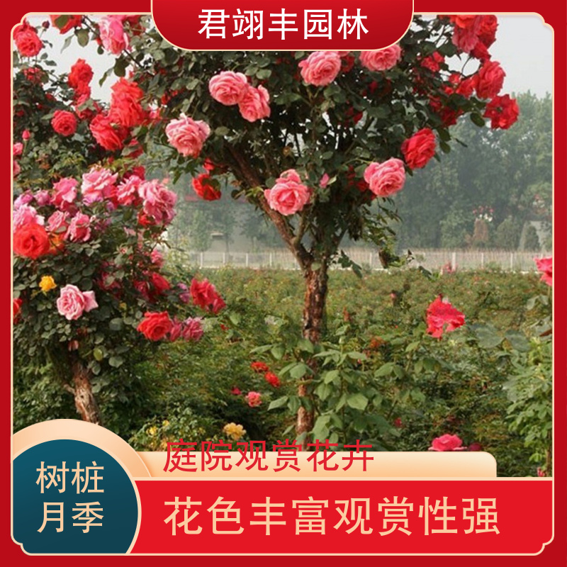 图7