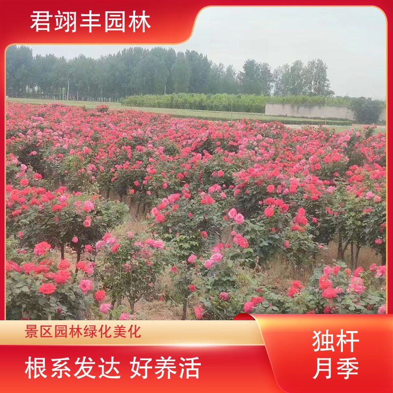 图9