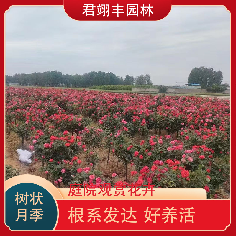 图8