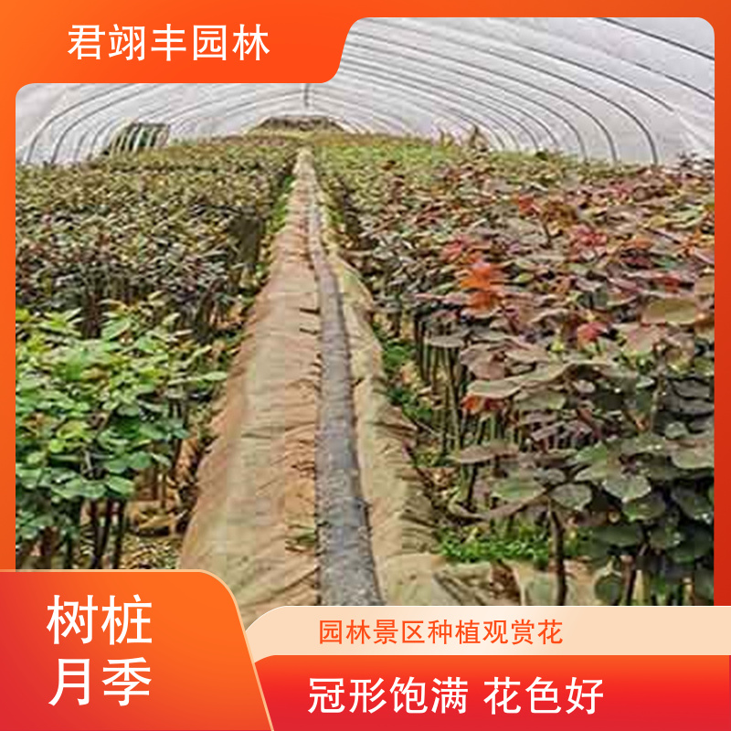 图10