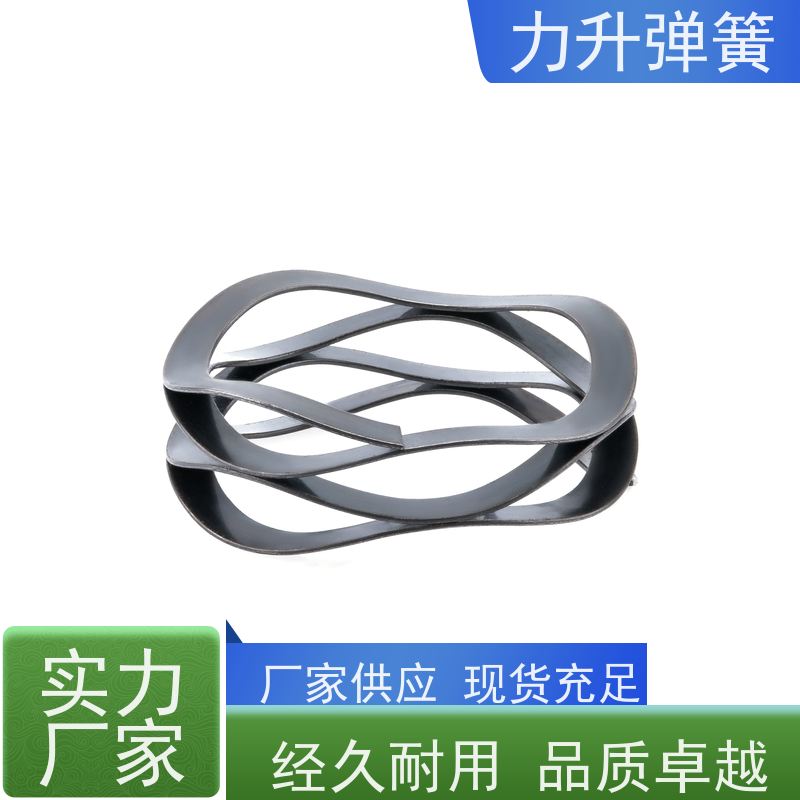 阀门波簧 高强度高硬度 耐腐蚀 源头厂家 支持定制 力升