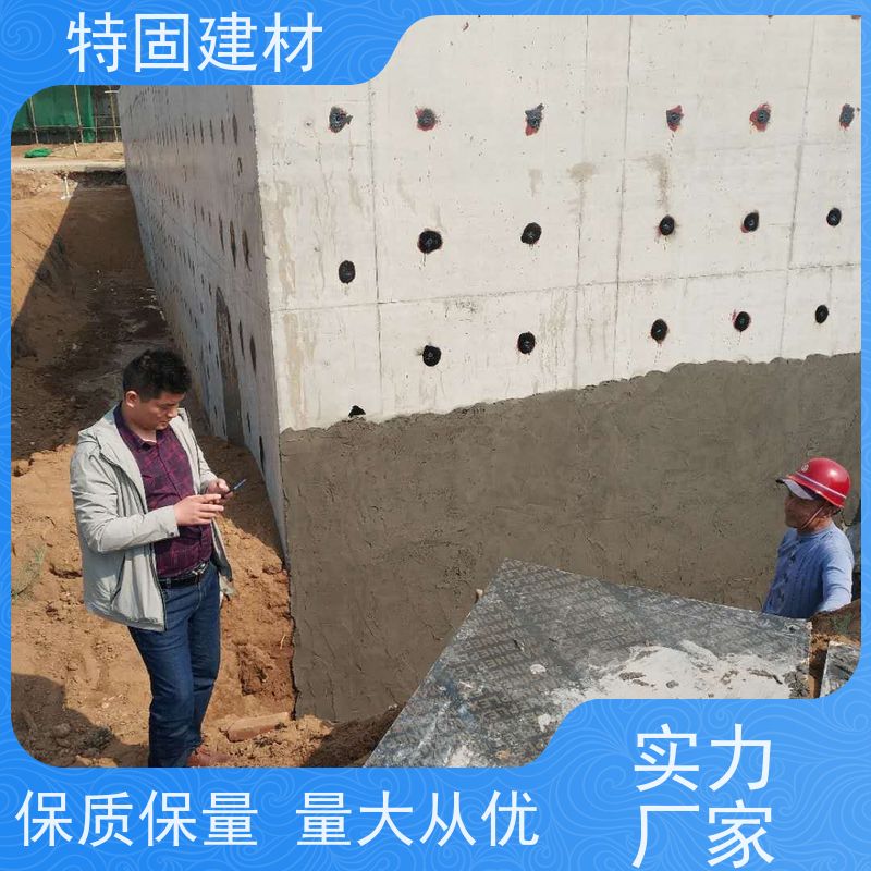 聚合物防水砂浆 防渗透耐酸碱 长期生产供应 特固建材