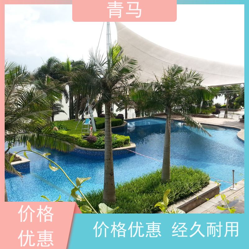 青马 社区游泳池 适用于星级酒店 按需定制 免费测量