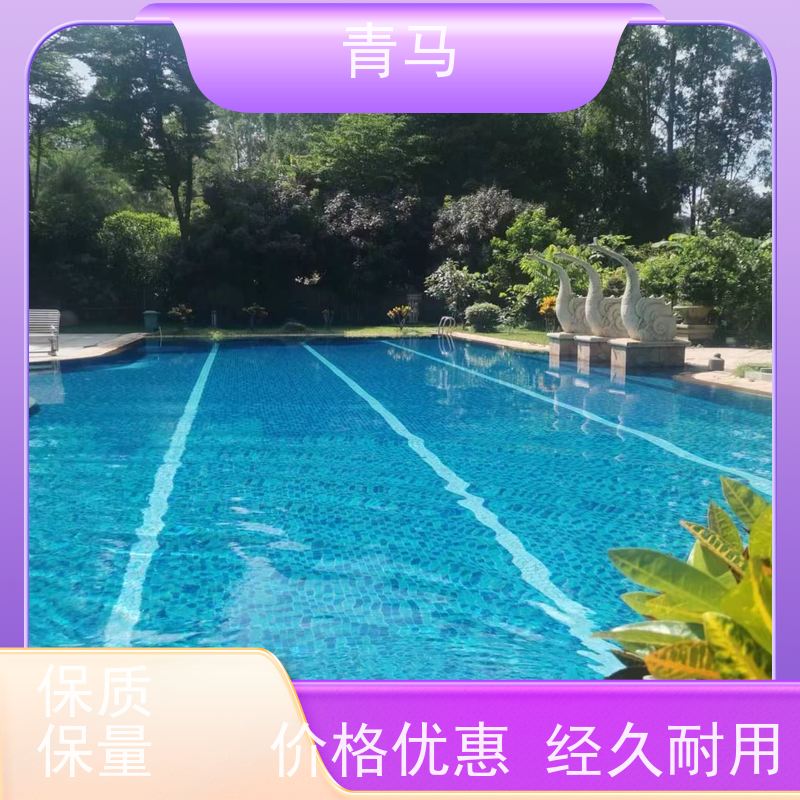 青马 景观泳池 适用于小区民宿 设计 施工 维护 一站式服务