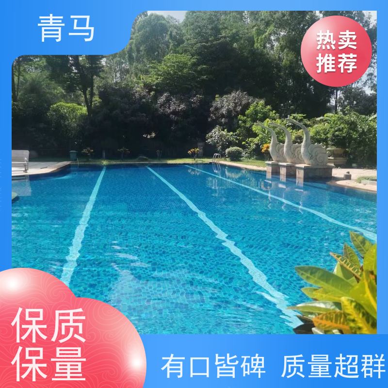 青马 酒店泳池 适用于健身俱乐部 设计 施工 维护 一站式服务