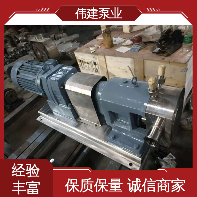 伟建生产 鲅鱼馅灌装泵 304/316不锈钢材质 稳定推送